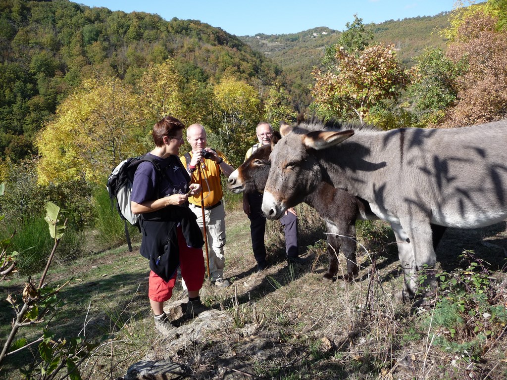 Wandern in der Tarnschlucht