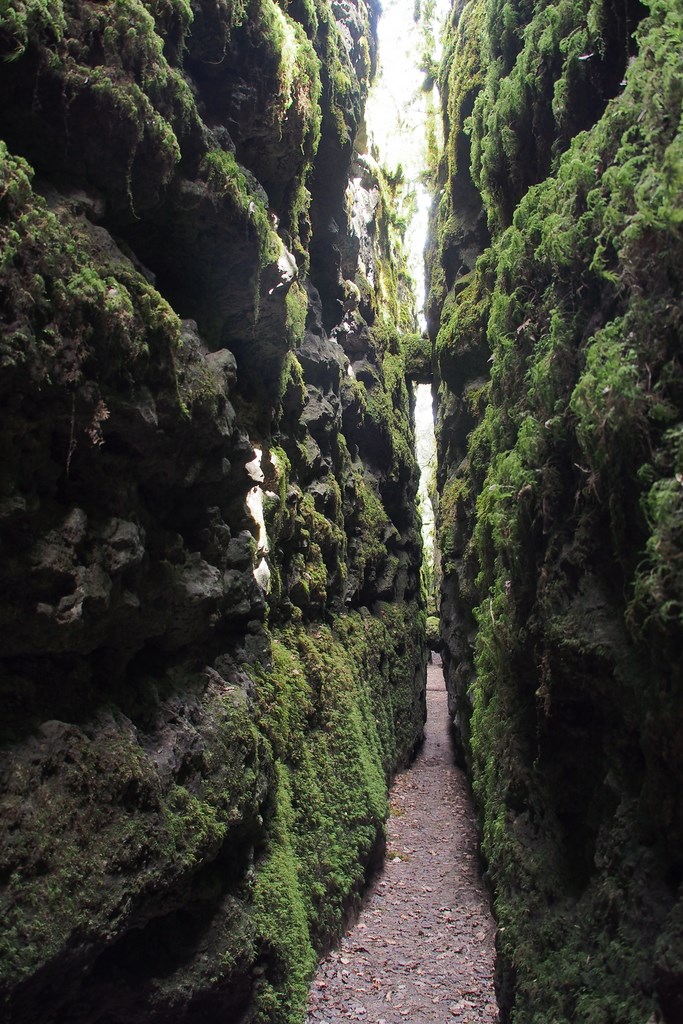 Felsspalten les Canalettes im regionalen Naturpark der Grands Causses